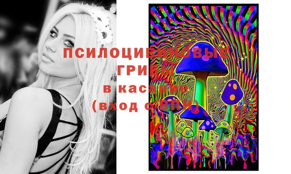 сатива Кулебаки