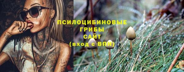 сатива Кулебаки