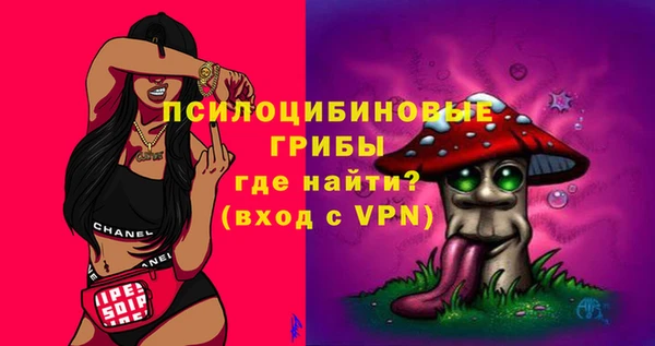 винт Касимов