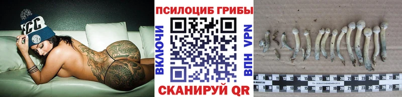 Галлюциногенные грибы ЛСД хочу OMG Верхняя Тура